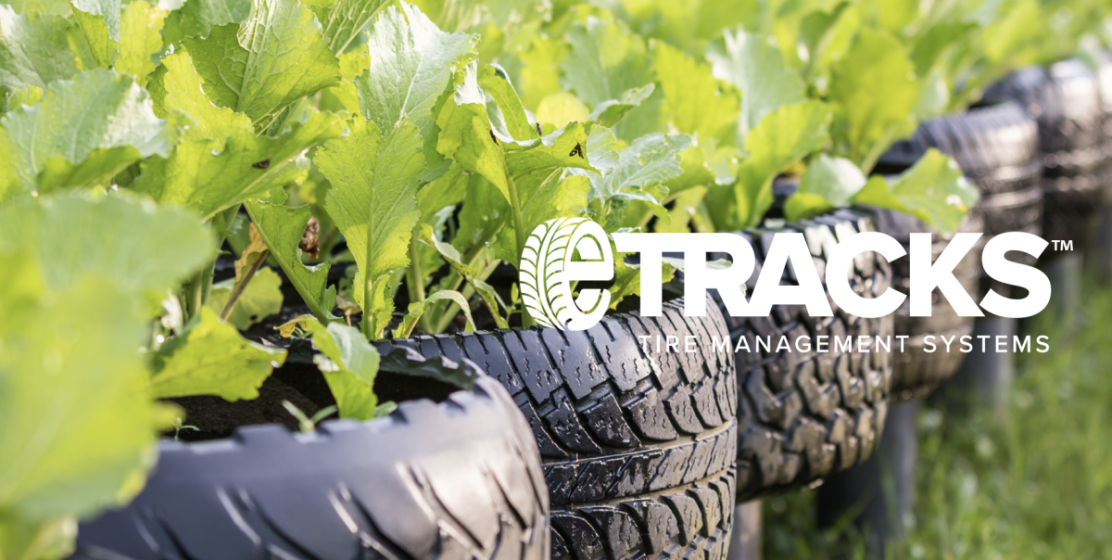 old tires used in garden bed